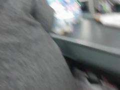 Hijab calça o burro